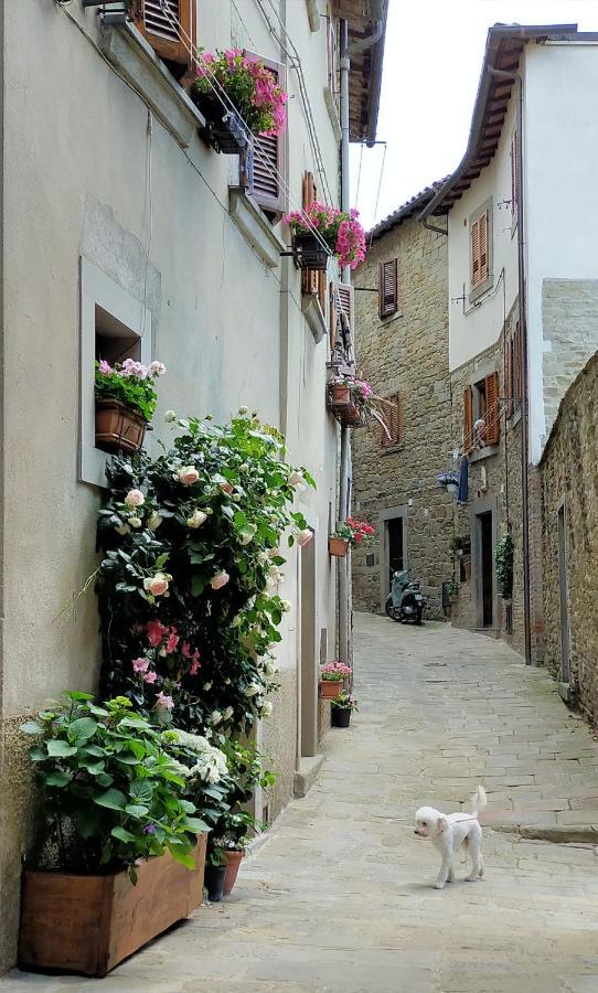 Casa Agata, Accogliente Appartamento Nel Centro Storico Cortona Exterior photo